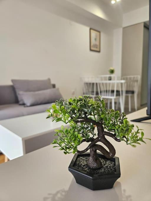 Milo Apartment Skopje Bagian luar foto